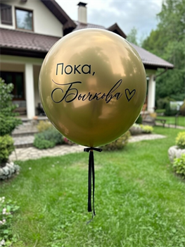 Шар Большой «Смена фамилии» на девичник в асс №620а а620