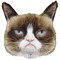 Шар фольга Фигура Grumpy Cat Сердитая Кошка (Bet) 1207-4262 - фото 10973