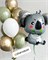 Набор из 10 воздушных шаров + Коала №286а а286